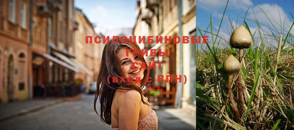 винт Заводоуковск