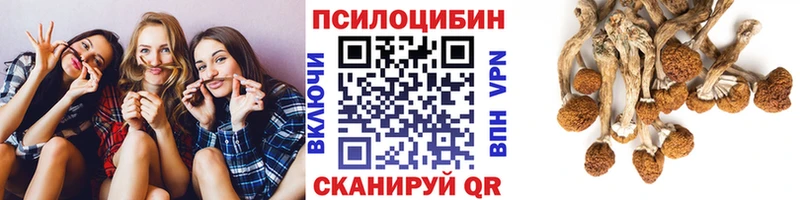 Купить закладки Никольское Псилоцибиновые грибы Cubensis