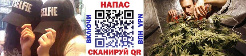 Купить где  Никольское  Бошки Шишки THC 21% 